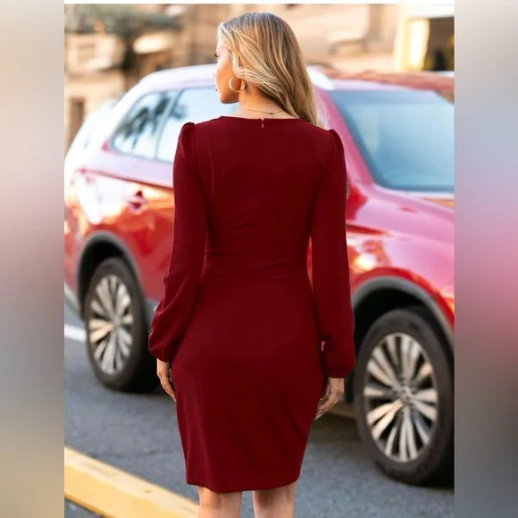 Elegant Wine Red Long Sleeve Dress - Picture 3 of 3